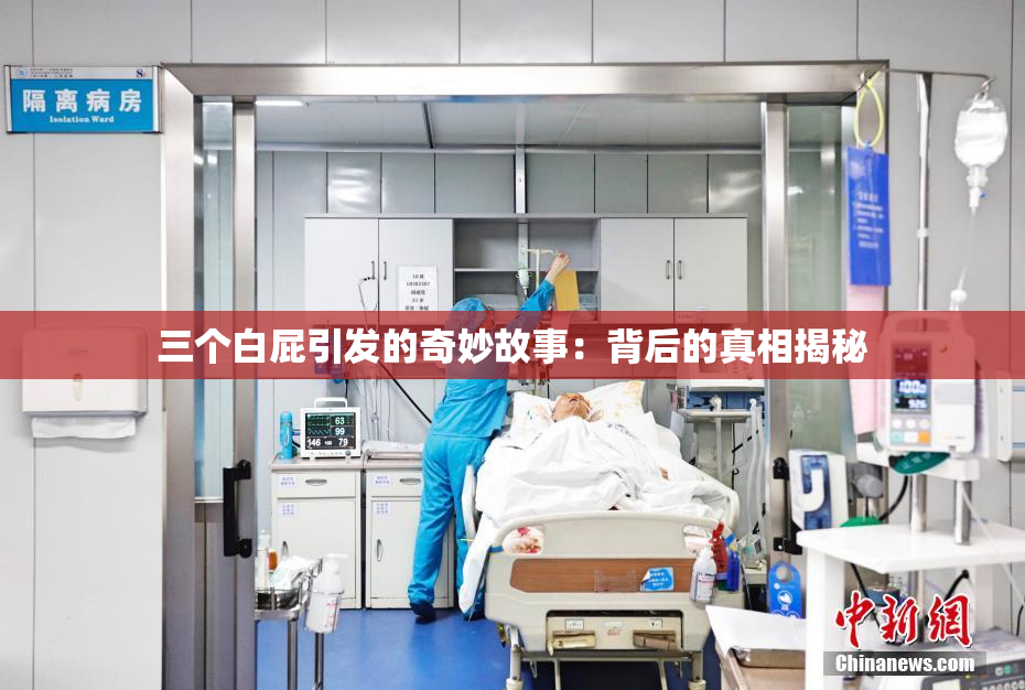 三个白屁引发的奇妙故事：背后的真相揭秘