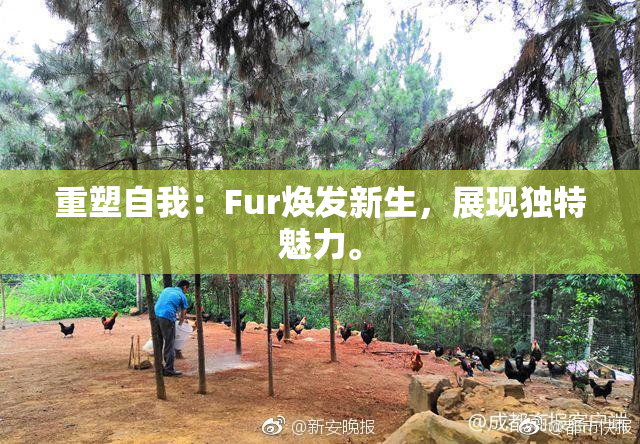 重塑自我：Fur焕发新生，展现独特魅力。