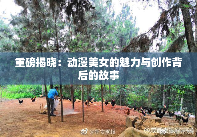 重磅揭晓：动漫美女的魅力与创作背后的故事