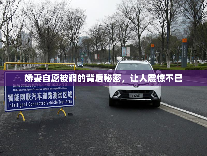 娇妻自愿被调的背后秘密，让人震惊不已