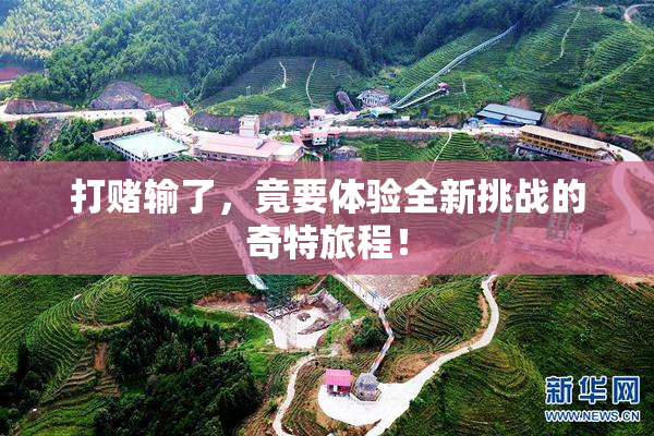 打赌输了，竟要体验全新挑战的奇特旅程！