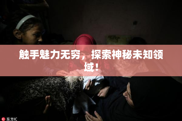 触手魅力无穷，探索神秘未知领域！