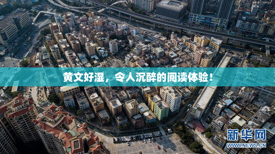 黄文好湿，令人沉醉的阅读体验！