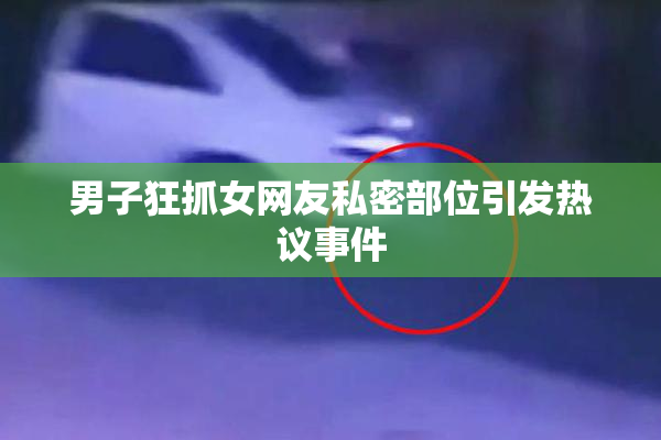 男子狂抓女网友私密部位引发热议事件