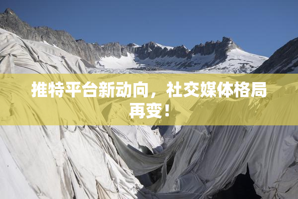 推特平台新动向，社交媒体格局再变！