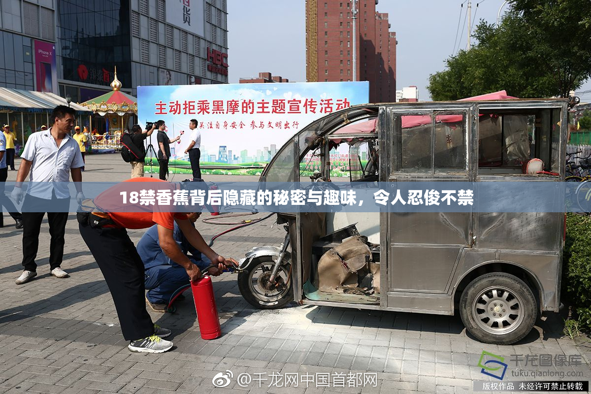 18禁香蕉背后隐藏的秘密与趣味，令人忍俊不禁