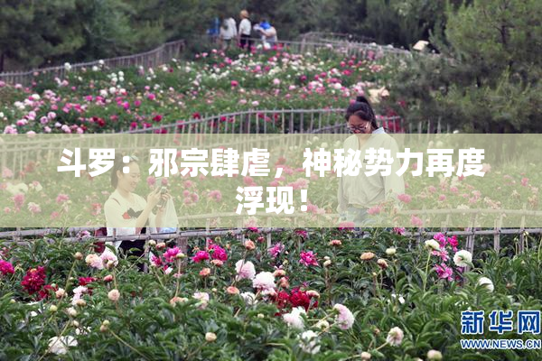 斗罗：邪宗肆虐，神秘势力再度浮现！