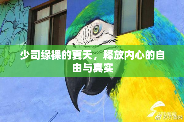 少司缘裸的夏天，释放内心的自由与真实