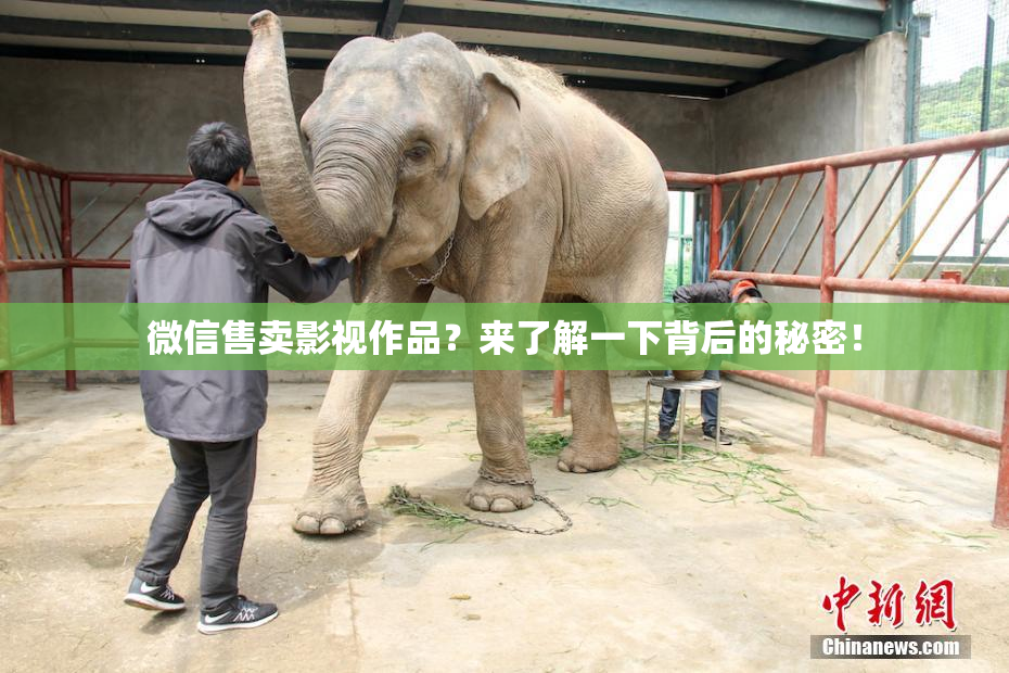 微信售卖影视作品？来了解一下背后的秘密！