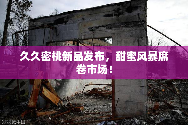 久久密桃新品发布，甜蜜风暴席卷市场！