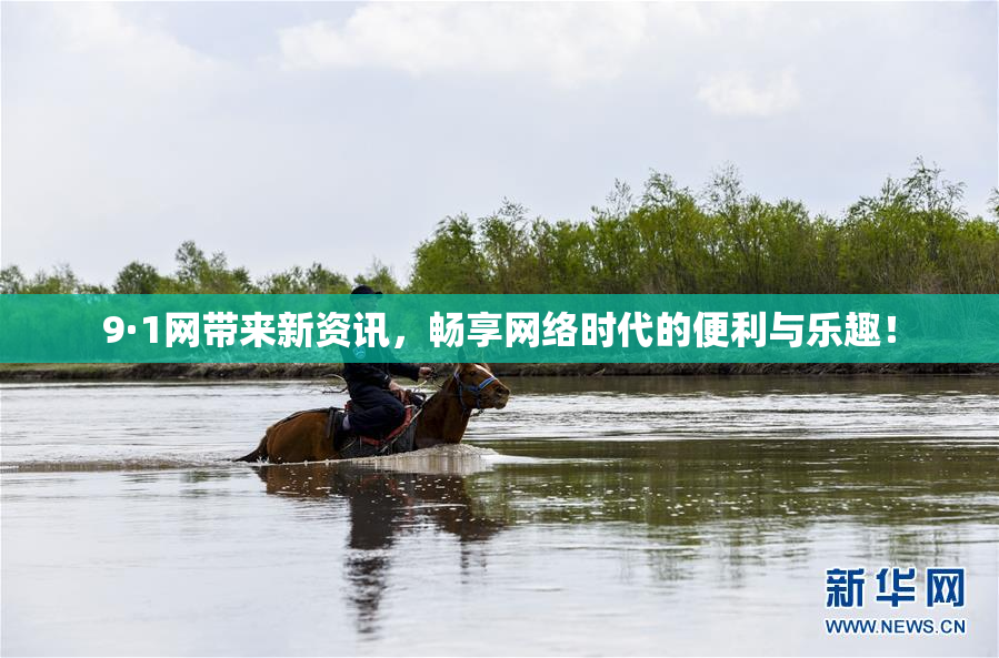 9·1网带来新资讯，畅享网络时代的便利与乐趣！