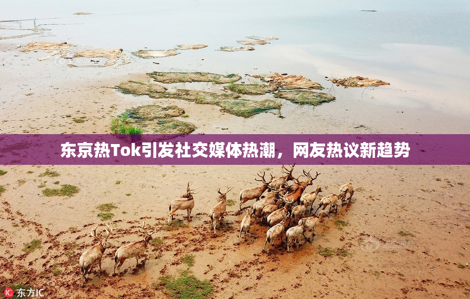 东京热Tok引发社交媒体热潮，网友热议新趋势