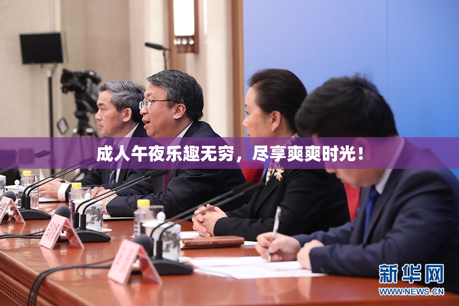成人午夜乐趣无穷，尽享爽爽时光！