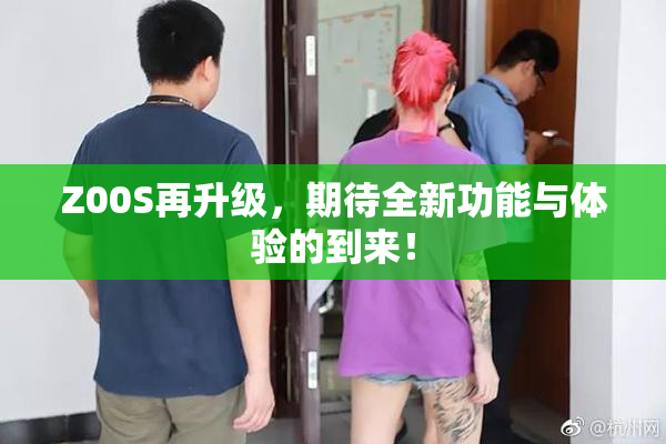 Z00S再升级，期待全新功能与体验的到来！