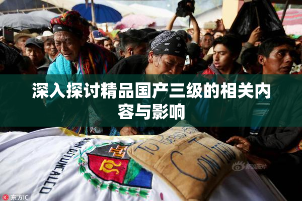 深入探讨精品国产三级的相关内容与影响