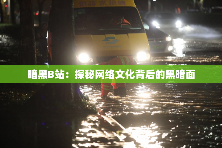 暗黑B站：探秘网络文化背后的黑暗面