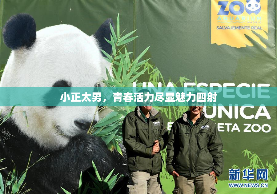 小正太男，青春活力尽显魅力四射