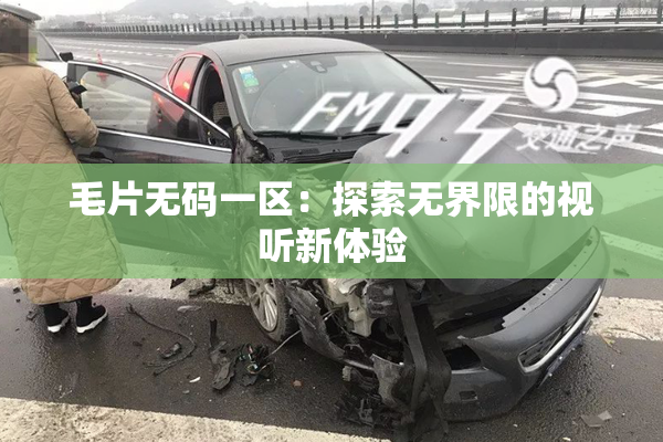 毛片无码一区：探索无界限的视听新体验
