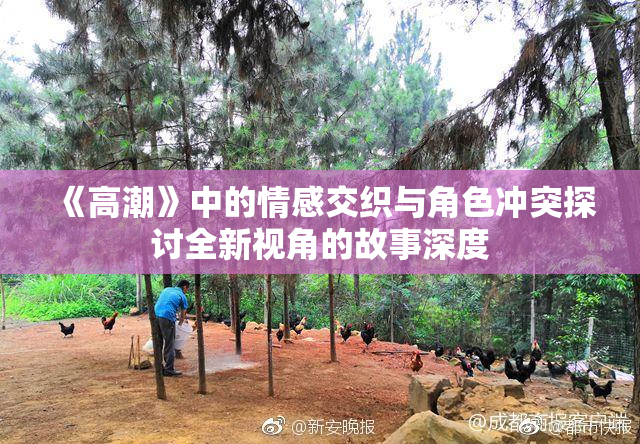 《高潮》中的情感交织与角色冲突探讨全新视角的故事深度