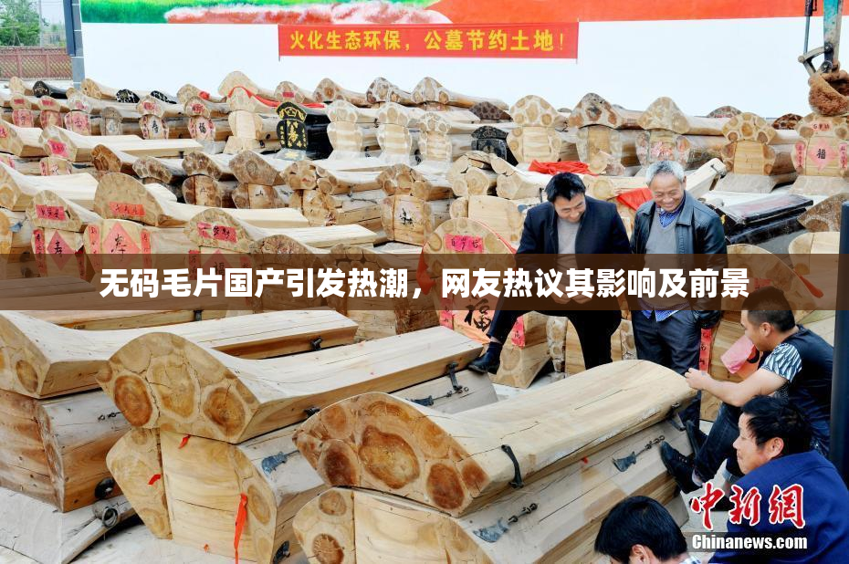 无码毛片国产引发热潮，网友热议其影响及前景