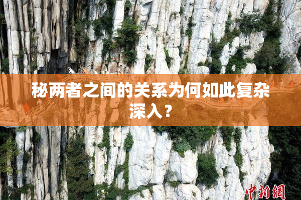 秘两者之间的关系为何如此复杂深入？