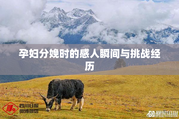 孕妇分娩时的感人瞬间与挑战经历