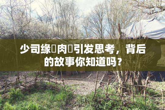 少司缘婬肉泬引发思考，背后的故事你知道吗？