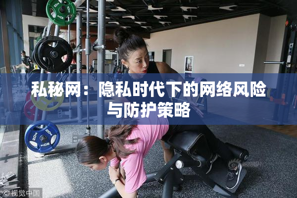 私秘网：隐私时代下的网络风险与防护策略
