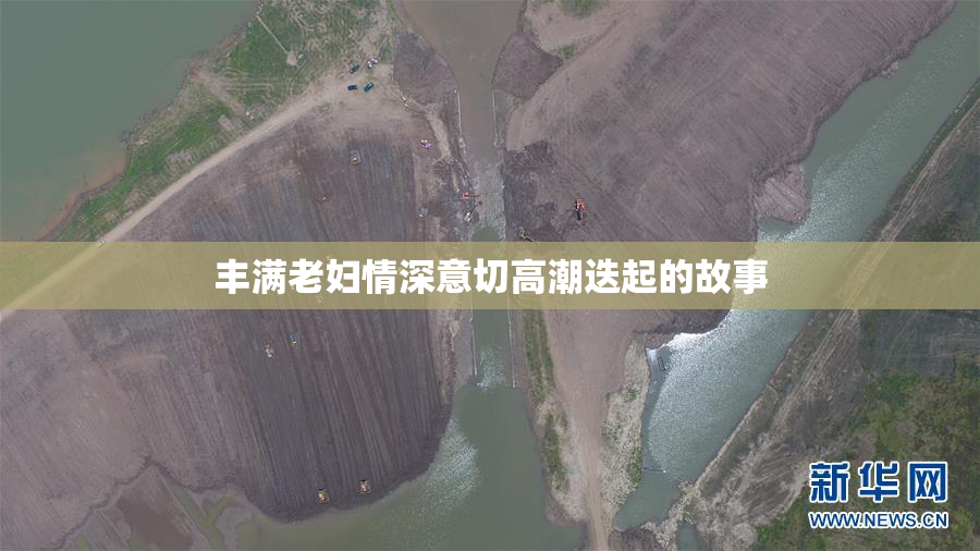 丰满老妇情深意切高潮迭起的故事