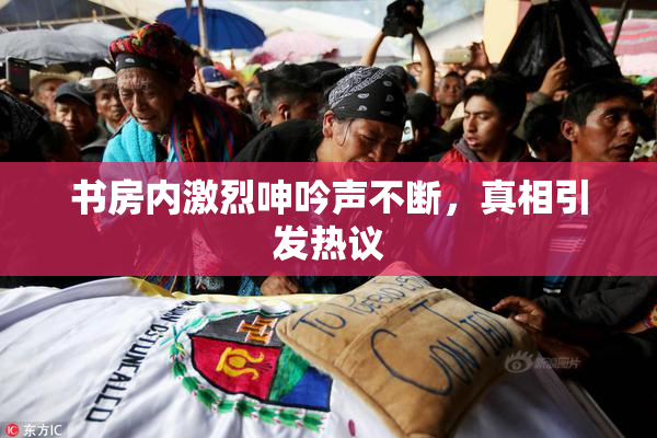 书房内激烈呻吟声不断，真相引发热议