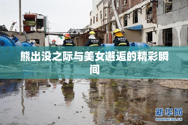 熊出没之际与美女邂逅的精彩瞬间