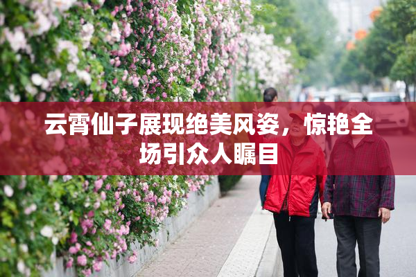 云霄仙子展现绝美风姿，惊艳全场引众人瞩目