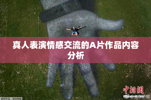 真人表演情感交流的A片作品内容分析