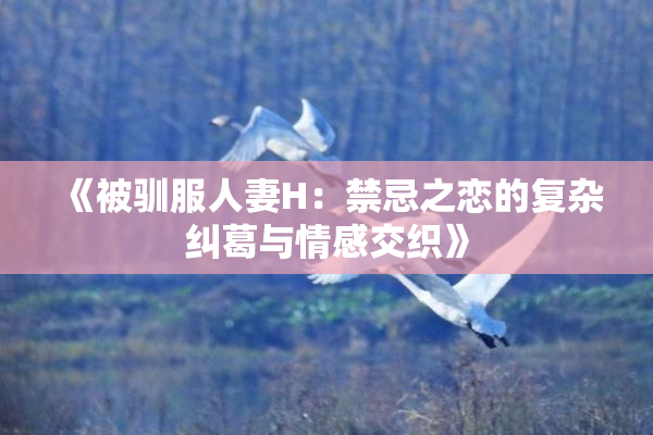 《被驯服人妻H：禁忌之恋的复杂纠葛与情感交织》