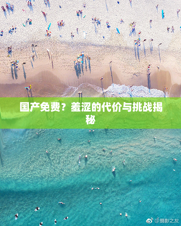 国产免费？羞涩的代价与挑战揭秘