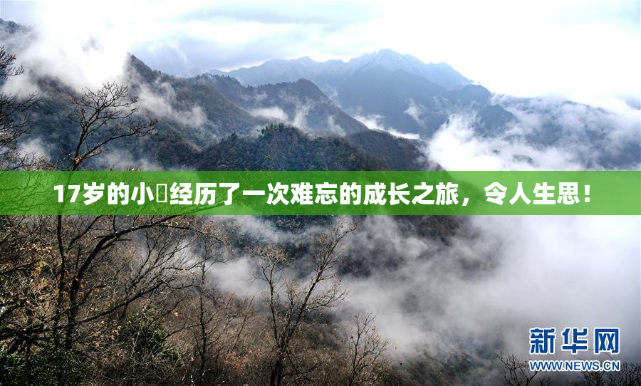17岁的小泬经历了一次难忘的成长之旅，令人生思！