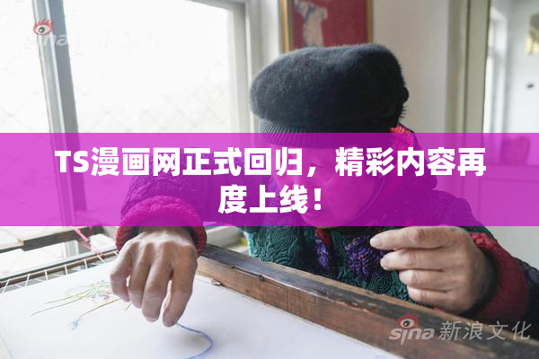TS漫画网正式回归，精彩内容再度上线！