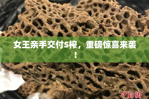 女王亲手交付S榨，重磅惊喜来袭！