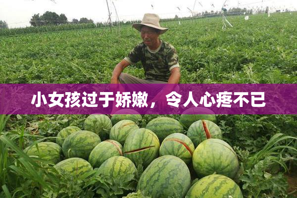 小女孩过于娇嫩，令人心疼不已
