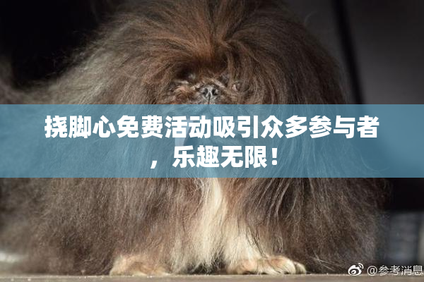 挠脚心免费活动吸引众多参与者，乐趣无限！