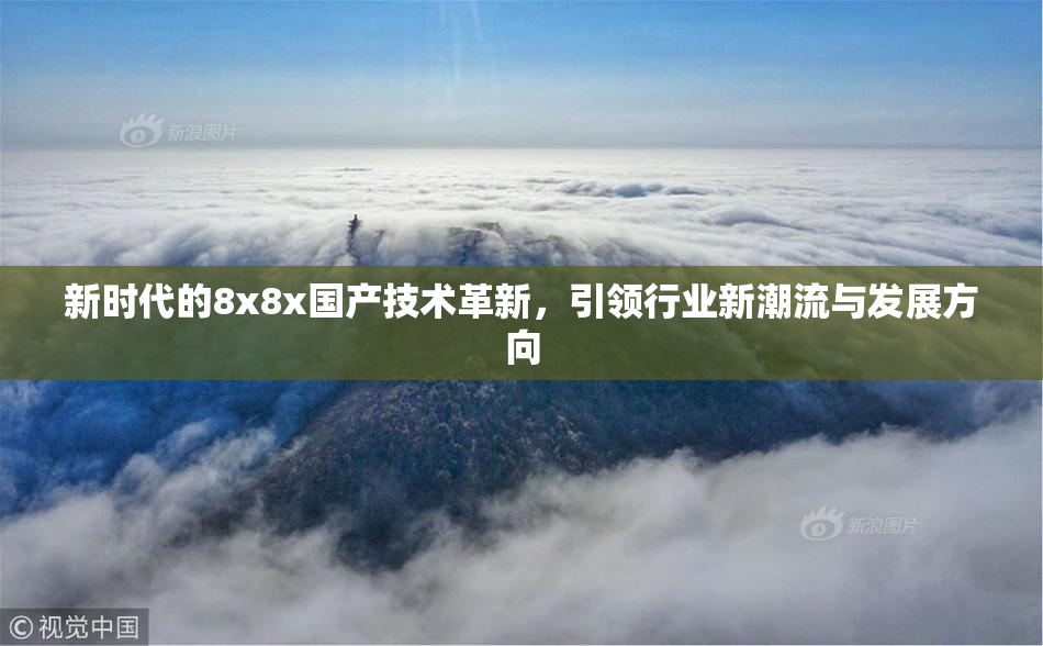 新时代的8x8x国产技术革新，引领行业新潮流与发展方向