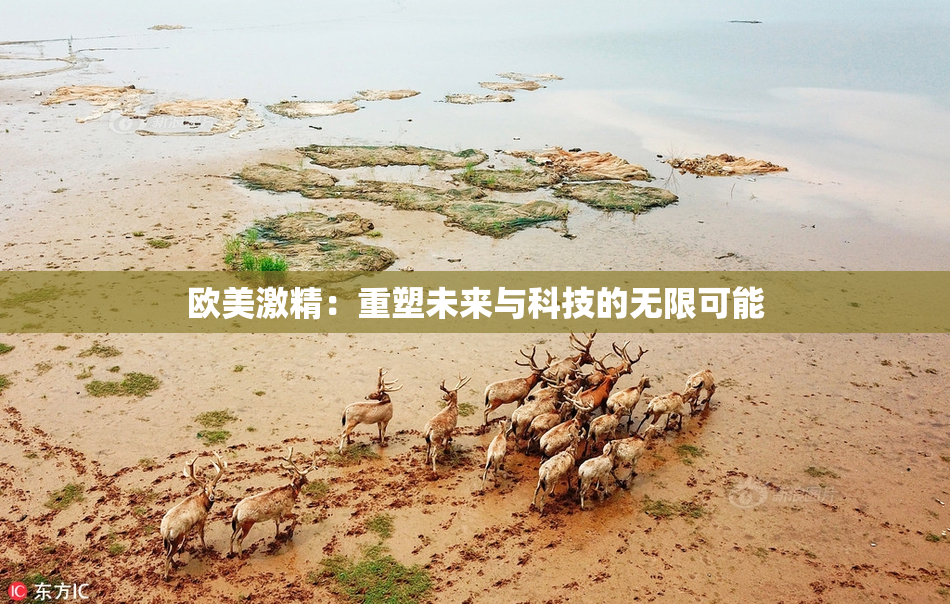 欧美激精：重塑未来与科技的无限可能