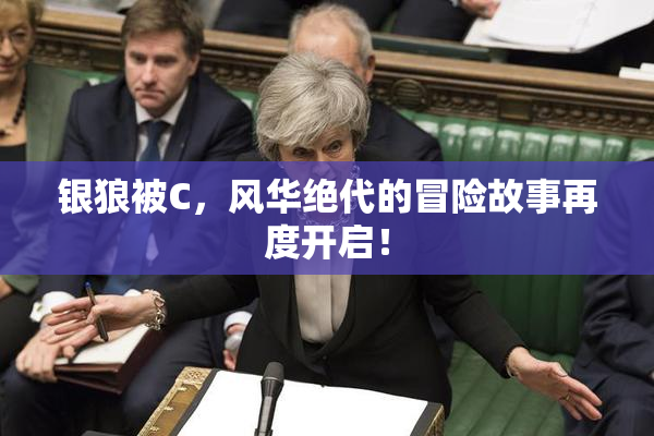 银狼被C，风华绝代的冒险故事再度开启！