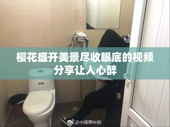 樱花盛开美景尽收眼底的视频分享让人心醉