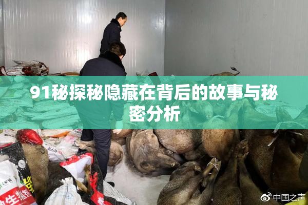 91秘探秘隐藏在背后的故事与秘密分析