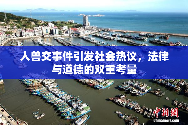 人兽交事件引发社会热议，法律与道德的双重考量