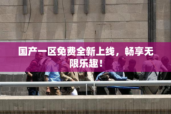 国产一区免费全新上线，畅享无限乐趣！