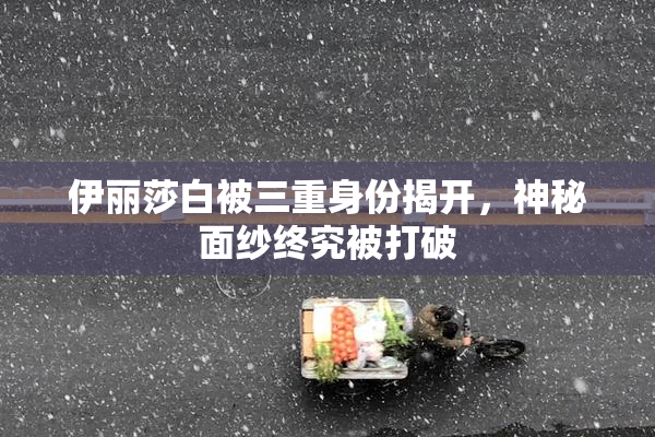 伊丽莎白被三重身份揭开，神秘面纱终究被打破