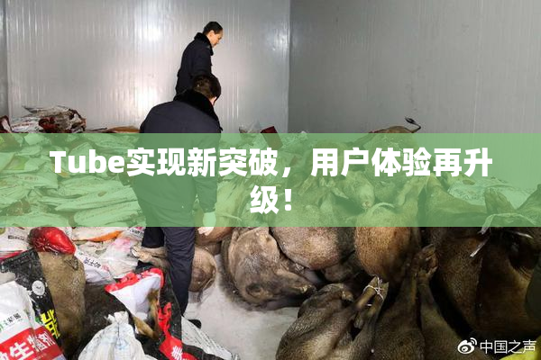 Tube实现新突破，用户体验再升级！