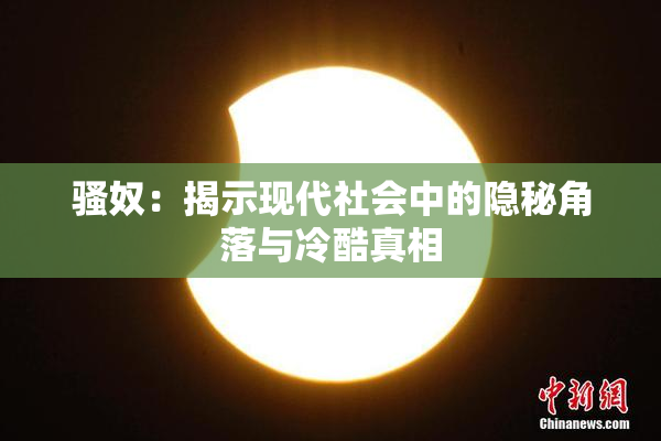 骚奴：揭示现代社会中的隐秘角落与冷酷真相